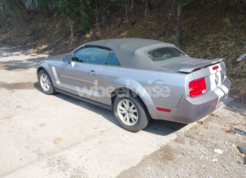 Photo 3 of 2006 Ford Mustang V6 (VIN 1ZVFT84N865179760)