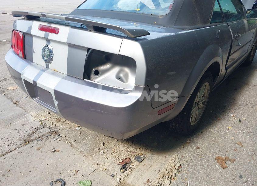 Photo 6 of 2006 Ford Mustang V6 (VIN 1ZVFT84N865179760)