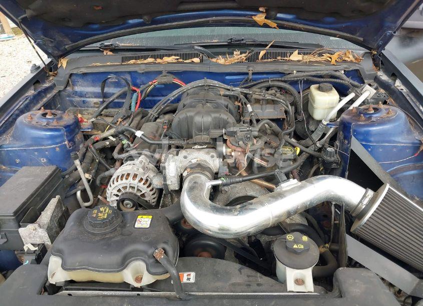 Photo 10 of 2007 Ford Mustang V6 DELUXE/V6 PREMIUM (VIN 1ZVFT84N875218946)