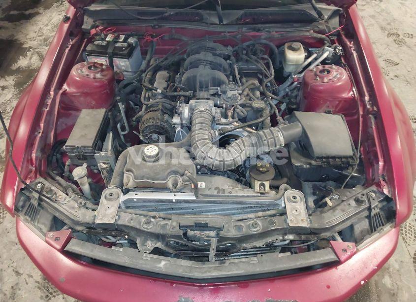 Photo 10 of 2007 Ford Mustang V6 DELUXE/V6 PREMIUM (VIN 1ZVFT84N875327746)