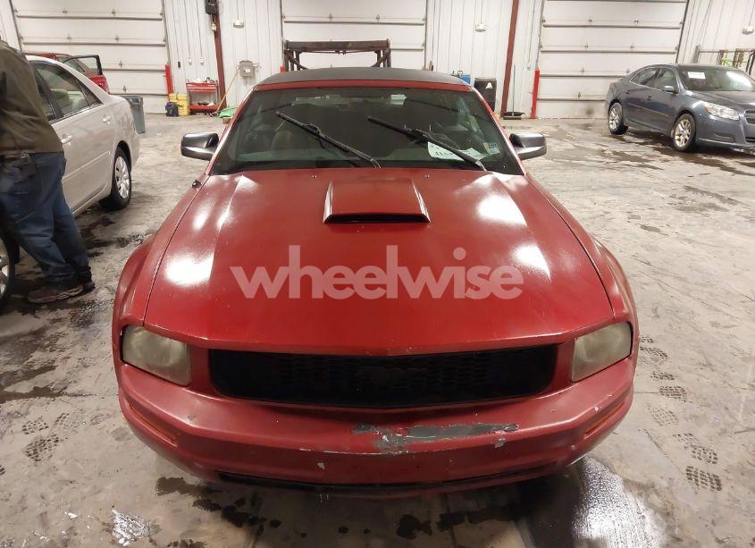 Photo 12 of 2007 Ford Mustang V6 DELUXE/V6 PREMIUM (VIN 1ZVFT84N875327746)