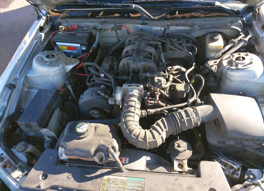 Photo 10 of 2005 Ford Mustang (VIN 1ZVFT84N955190782)