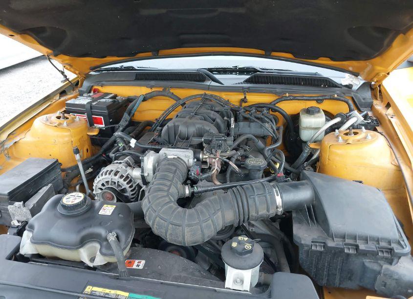 Photo 10 of 2007 Ford Mustang V6 DELUXE/V6 PREMIUM (VIN 1ZVFT84N975196875)