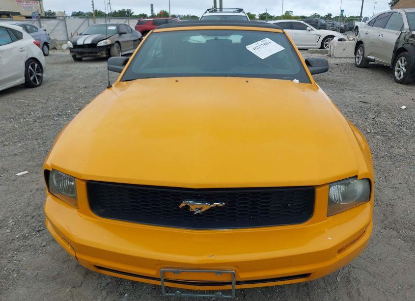 Photo 12 of 2007 Ford Mustang V6 DELUXE/V6 PREMIUM (VIN 1ZVFT84N975196875)