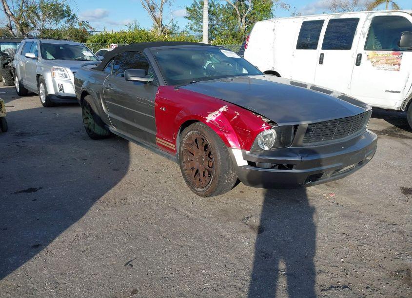 2005 Ford Mustang (VIN 1ZVFT84NX55240766) main photo