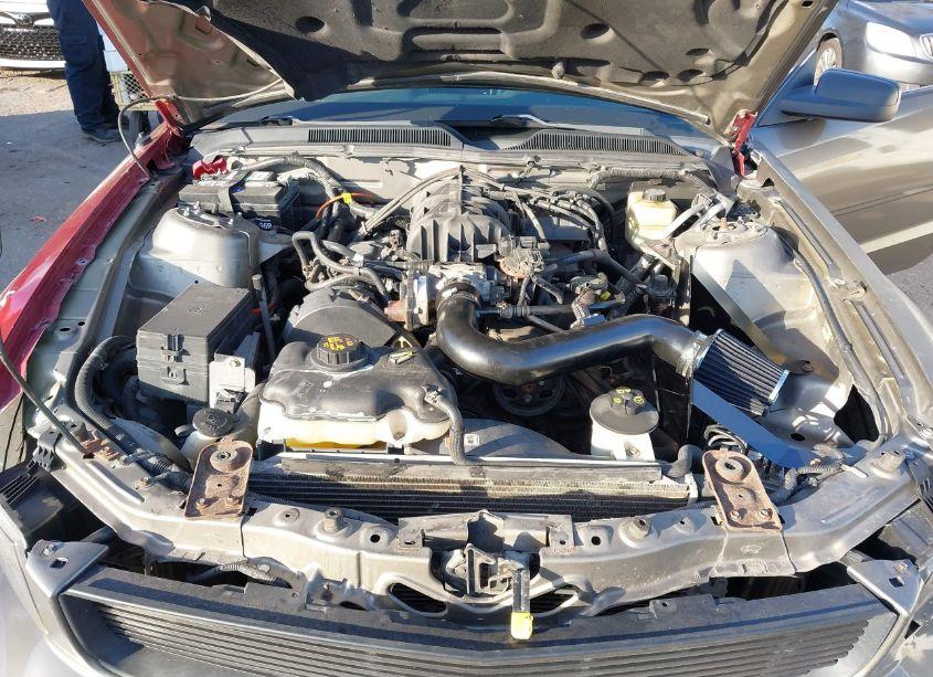 Photo 10 of 2005 Ford Mustang (VIN 1ZVFT84NX55240766)