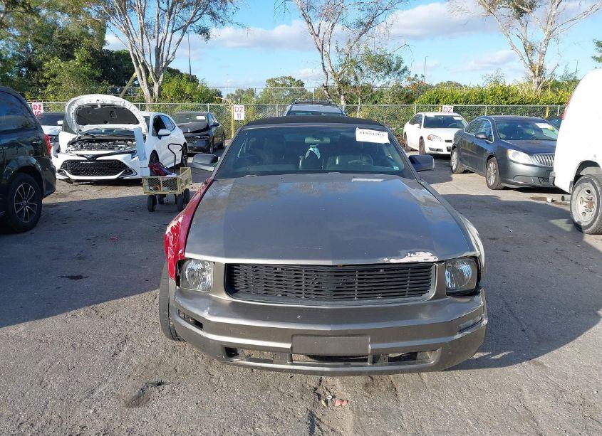 Photo 12 of 2005 Ford Mustang (VIN 1ZVFT84NX55240766)
