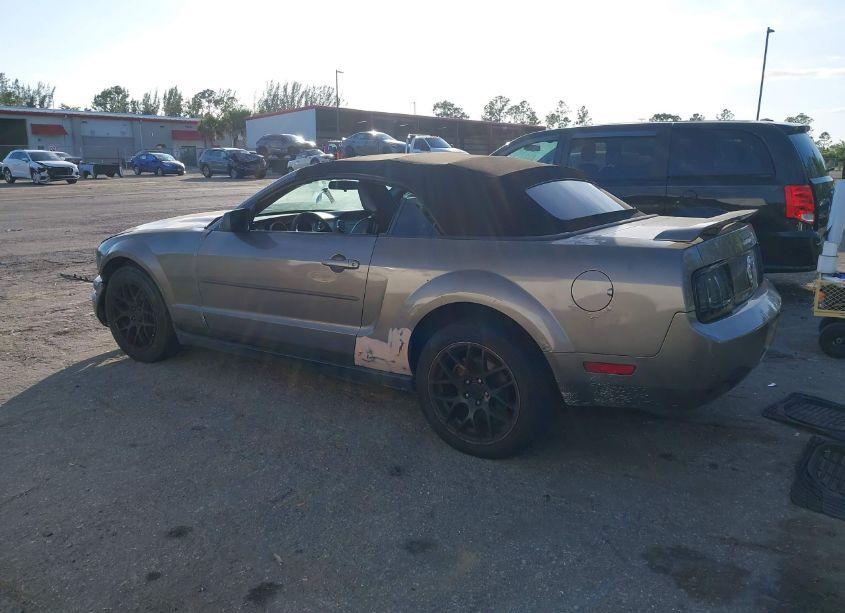 Photo 14 of 2005 Ford Mustang (VIN 1ZVFT84NX55240766)