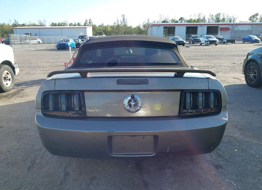 Photo 16 of 2005 Ford Mustang (VIN 1ZVFT84NX55240766)
