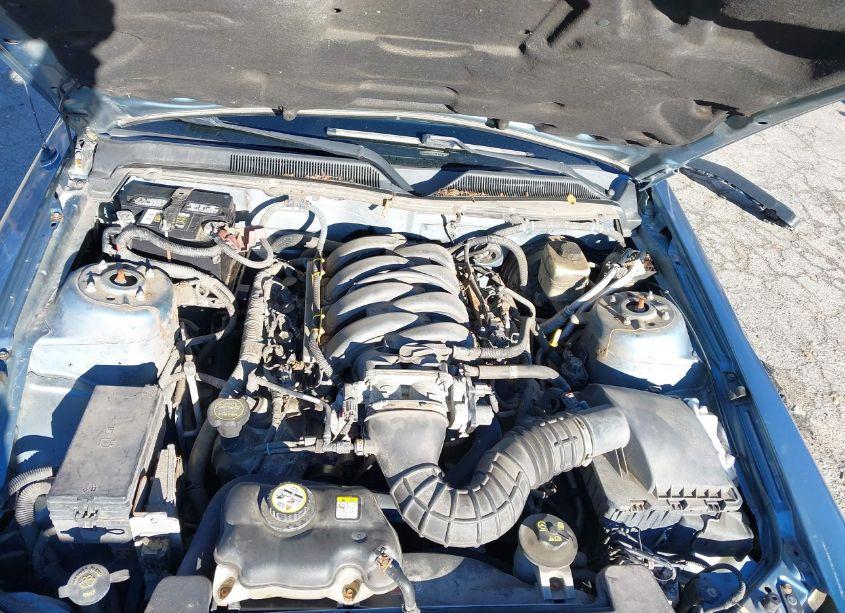 Photo 10 of 2007 Ford Mustang GT DELUXE/GT PREMIUM (VIN 1ZVFT85H075277420)