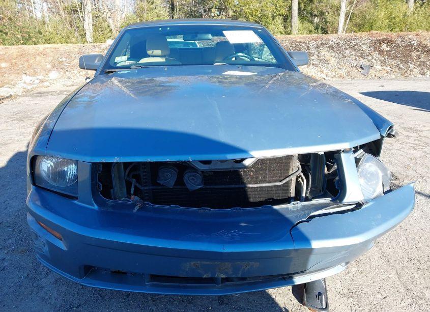 Photo 13 of 2007 Ford Mustang GT DELUXE/GT PREMIUM (VIN 1ZVFT85H075277420)