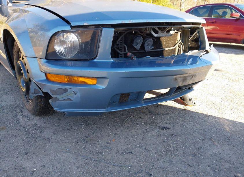 Photo 18 of 2007 Ford Mustang GT DELUXE/GT PREMIUM (VIN 1ZVFT85H075277420)