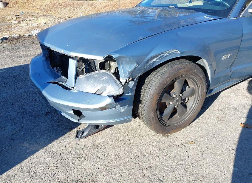 Photo 6 of 2007 Ford Mustang GT DELUXE/GT PREMIUM (VIN 1ZVFT85H075277420)