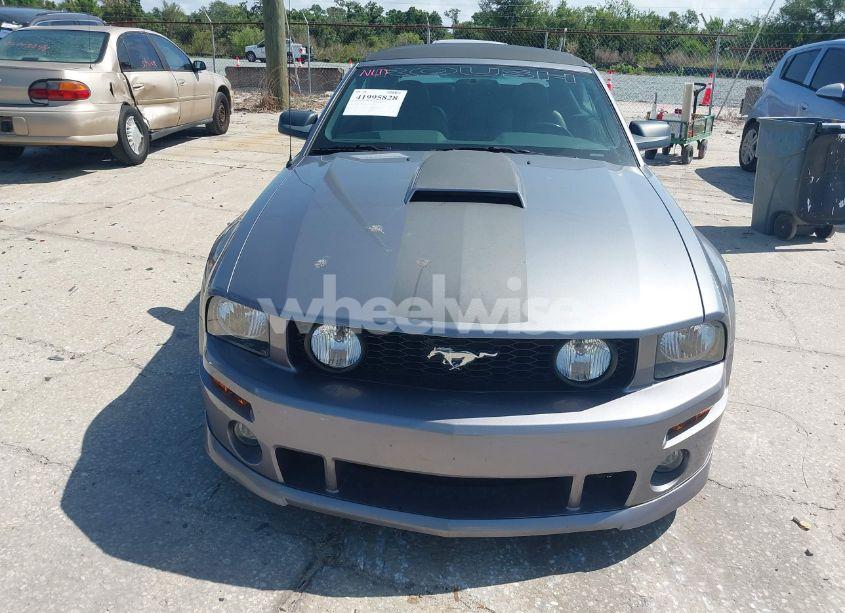 Photo 6 of 2007 Ford Mustang GT DELUXE/GT PREMIUM (VIN 1ZVFT85H175246709)