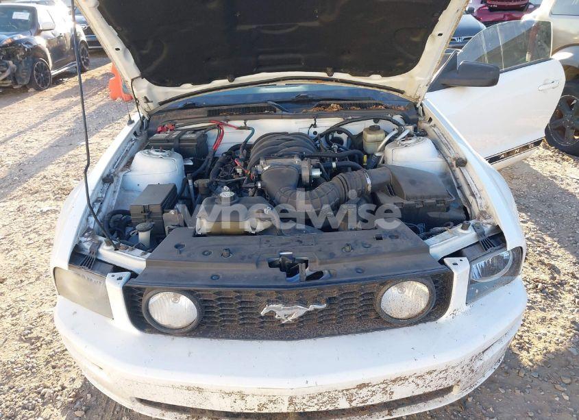 Photo 10 of 2007 Ford Mustang GT DELUXE/GT PREMIUM (VIN 1ZVFT85H175258682)