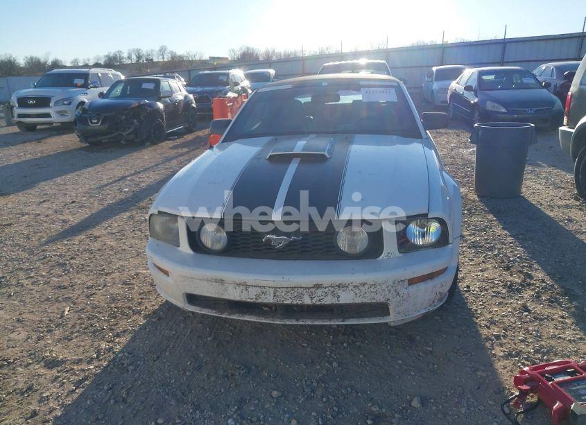 Photo 12 of 2007 Ford Mustang GT DELUXE/GT PREMIUM (VIN 1ZVFT85H175258682)
