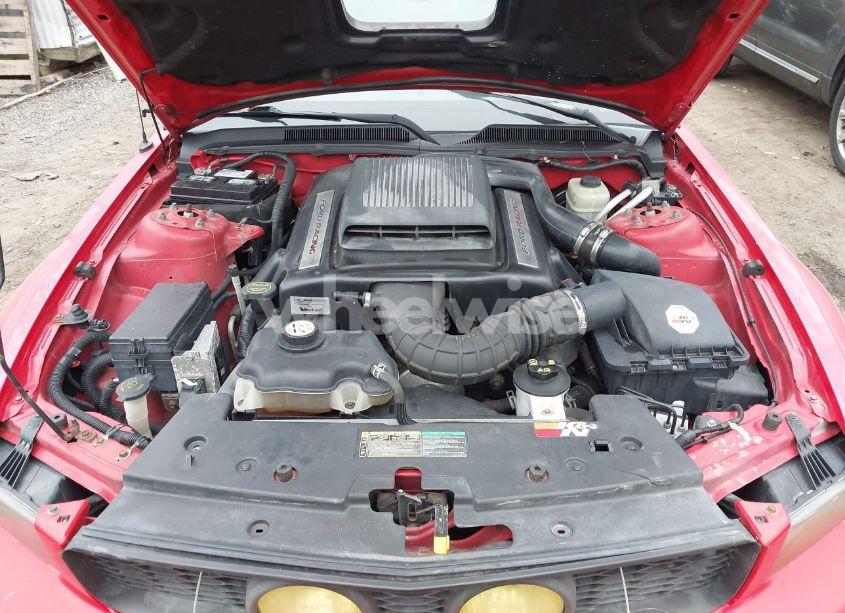 Photo 10 of 2006 Ford Mustang GT (VIN 1ZVFT85H265120003)