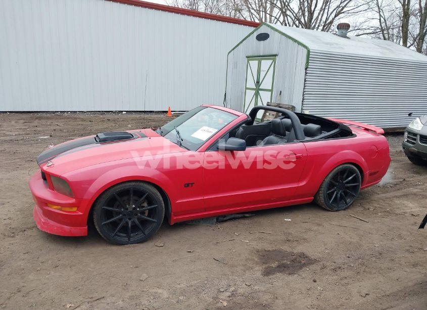 Photo 17 of 2006 Ford Mustang GT (VIN 1ZVFT85H265120003)