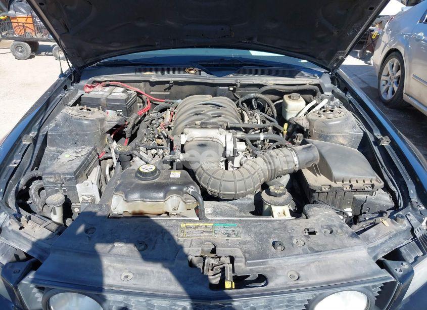 Photo 10 of 2005 Ford Mustang GT (VIN 1ZVFT85H455226449)