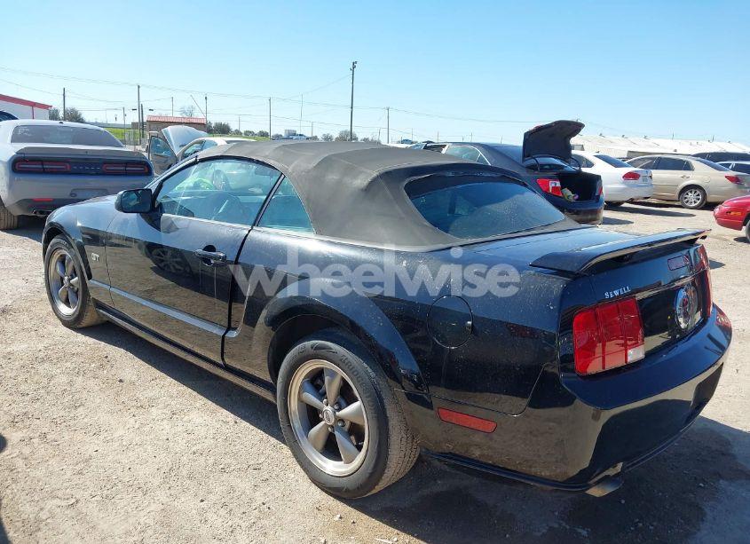 Photo 14 of 2005 Ford Mustang GT (VIN 1ZVFT85H455226449)