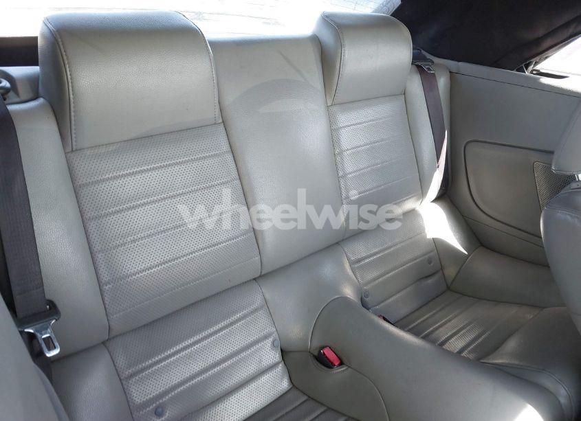 Photo 8 of 2005 Ford Mustang GT (VIN 1ZVFT85H455226449)