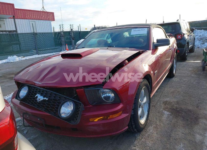 Photo 12 of 2007 Ford Mustang GT DELUXE/GT PREMIUM (VIN 1ZVFT85H575257339)