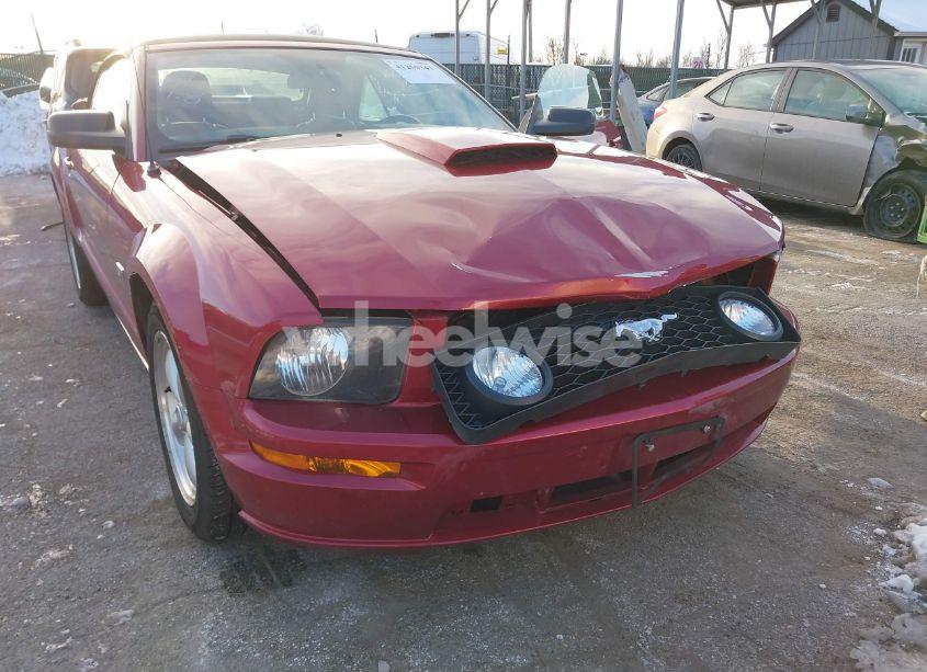 Photo 6 of 2007 Ford Mustang GT DELUXE/GT PREMIUM (VIN 1ZVFT85H575257339)