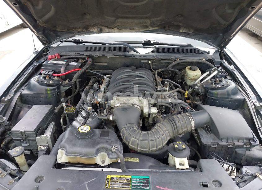 Photo 10 of 2005 Ford Mustang GT (VIN 1ZVFT85H655173365)