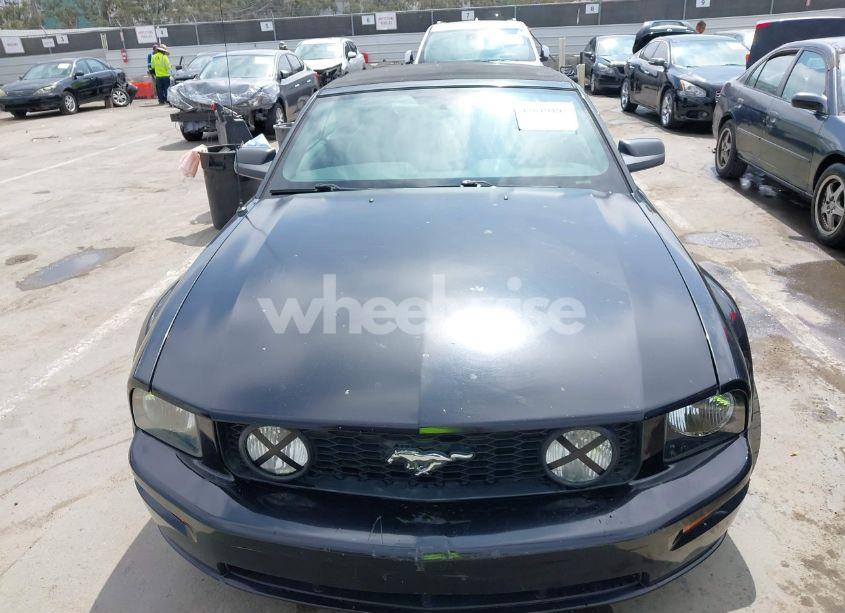 Photo 12 of 2005 Ford Mustang GT (VIN 1ZVFT85H655173365)