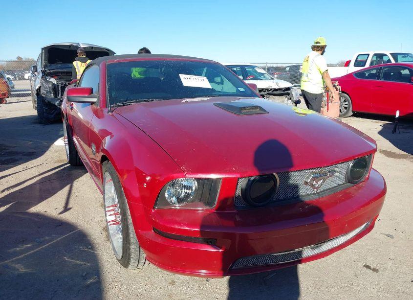 2005 Ford Mustang GT (VIN 1ZVFT85H655210379) main photo