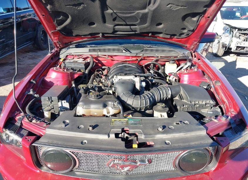 Photo 10 of 2005 Ford Mustang GT (VIN 1ZVFT85H655210379)