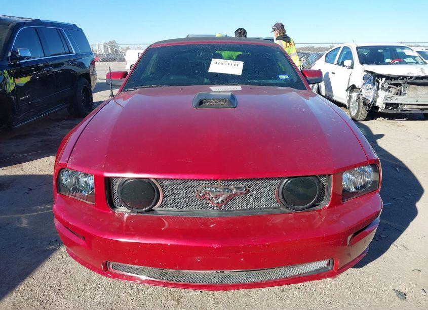 Photo 12 of 2005 Ford Mustang GT (VIN 1ZVFT85H655210379)