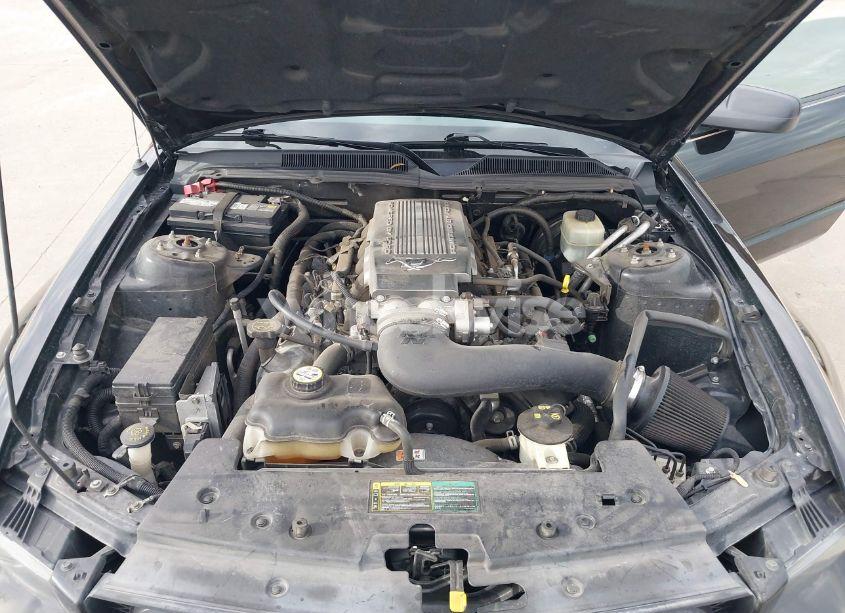 Photo 10 of 2005 Ford Mustang GT (VIN 1ZVFT85H655215033)