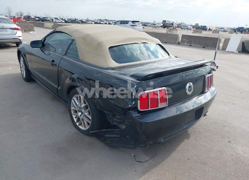 Photo 3 of 2005 Ford Mustang GT (VIN 1ZVFT85H655215033)