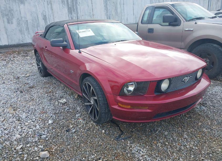 2006 Ford Mustang GT (VIN 1ZVFT85H665103849) main photo