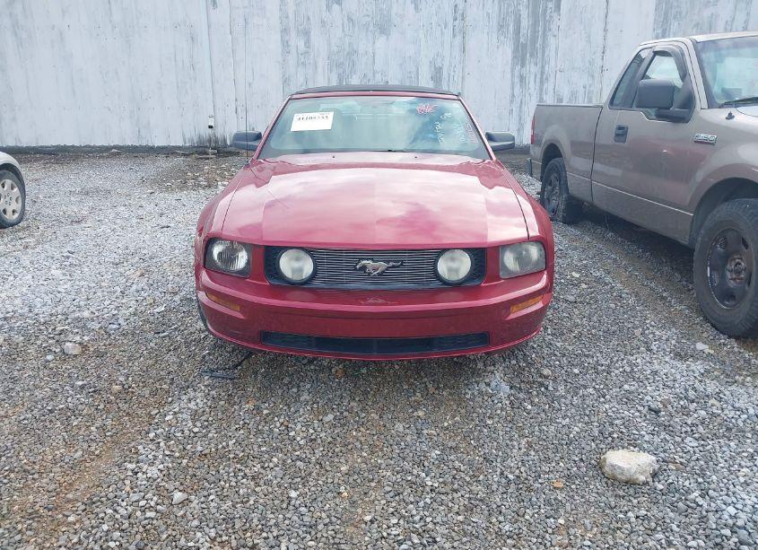 Photo 12 of 2006 Ford Mustang GT (VIN 1ZVFT85H665103849)