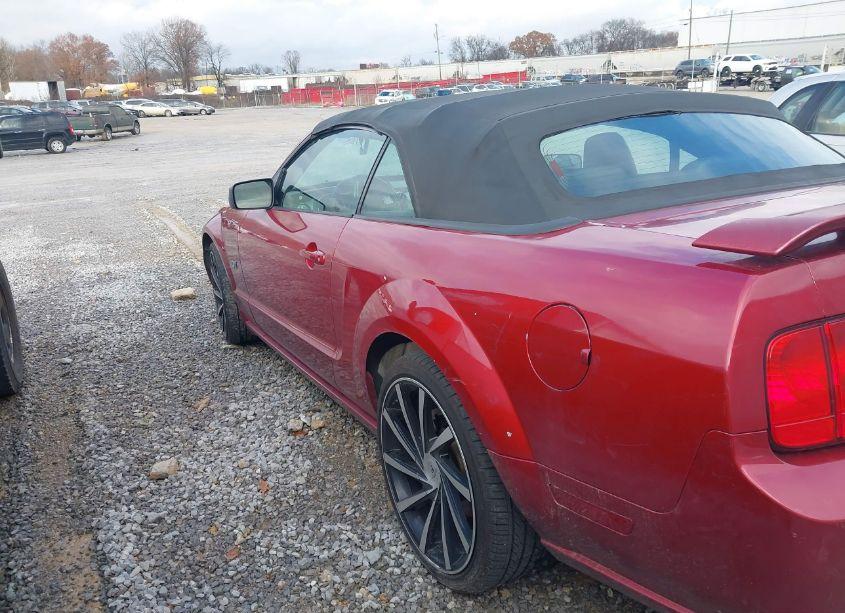 Photo 14 of 2006 Ford Mustang GT (VIN 1ZVFT85H665103849)