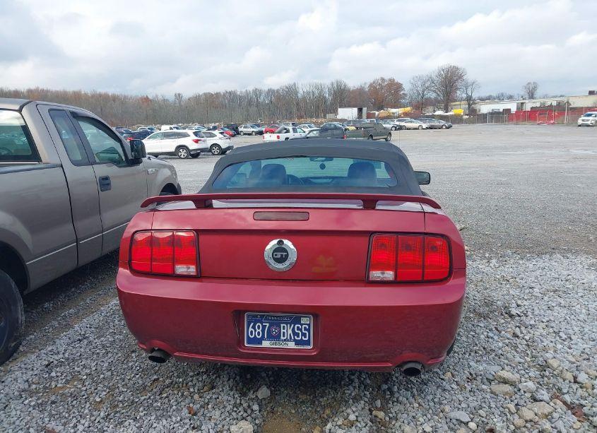 Photo 16 of 2006 Ford Mustang GT (VIN 1ZVFT85H665103849)