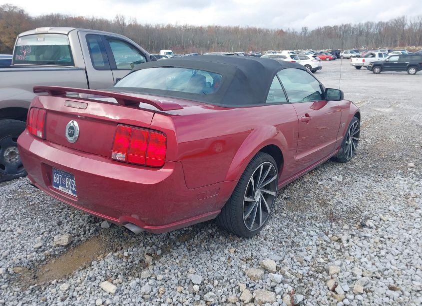 Photo 4 of 2006 Ford Mustang GT (VIN 1ZVFT85H665103849)