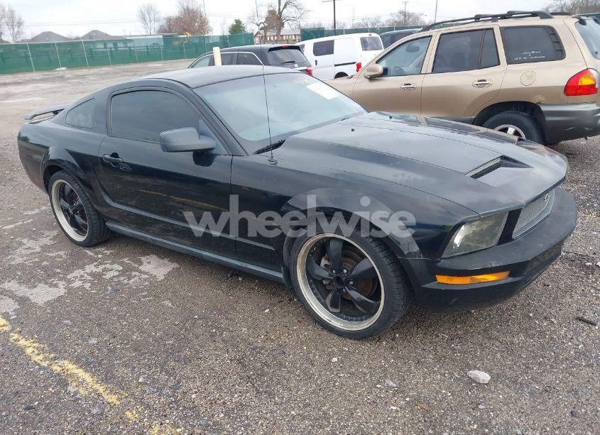2006 Ford Mustang V6 (VIN 1ZVHT80N065141289) main photo