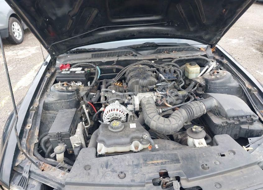 Photo 10 of 2006 Ford Mustang V6 (VIN 1ZVHT80N065141289)