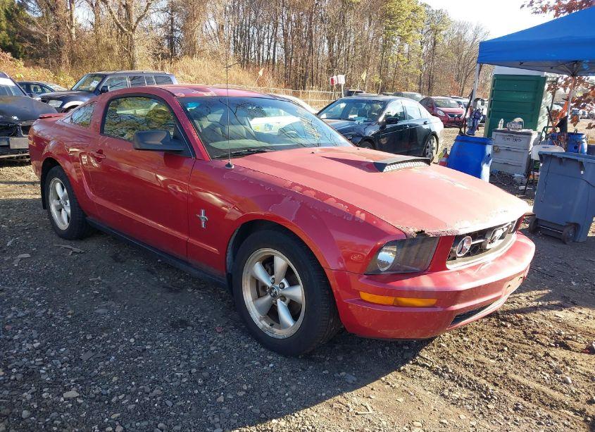 2008 Ford Mustang V6 DELUXE/V6 PREMIUM (VIN 1ZVHT80N085102267) main photo