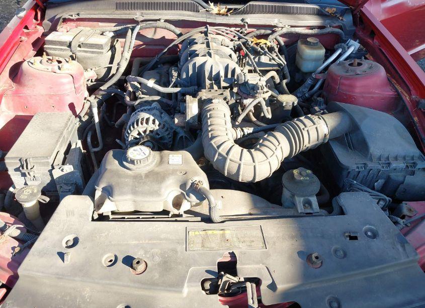 Photo 10 of 2008 Ford Mustang V6 DELUXE/V6 PREMIUM (VIN 1ZVHT80N085102267)