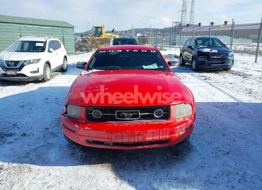 Photo 12 of 2008 Ford Mustang V6 DELUXE/V6 PREMIUM (VIN 1ZVHT80N085105069)