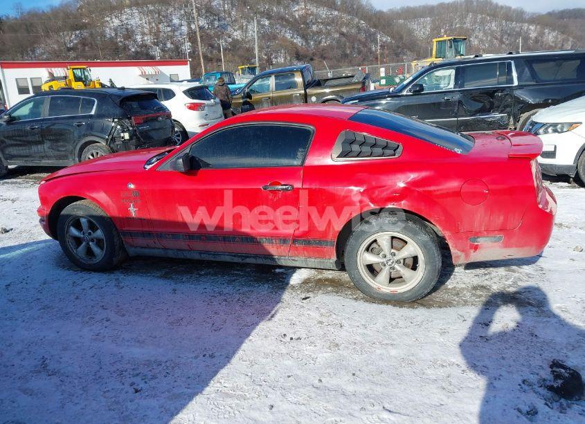 Photo 14 of 2008 Ford Mustang V6 DELUXE/V6 PREMIUM (VIN 1ZVHT80N085105069)