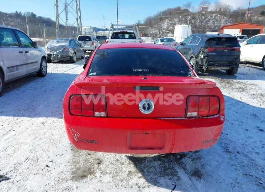 Photo 16 of 2008 Ford Mustang V6 DELUXE/V6 PREMIUM (VIN 1ZVHT80N085105069)