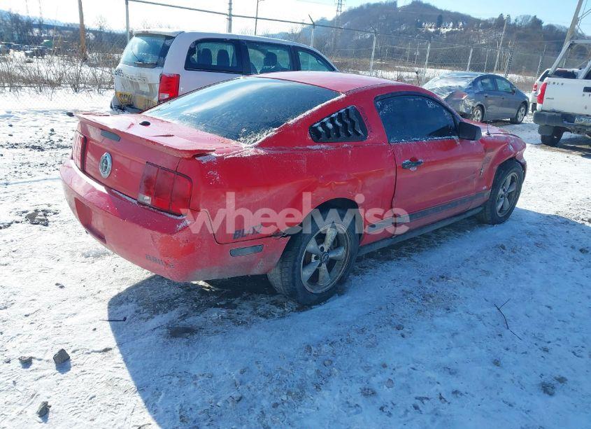 Photo 4 of 2008 Ford Mustang V6 DELUXE/V6 PREMIUM (VIN 1ZVHT80N085105069)
