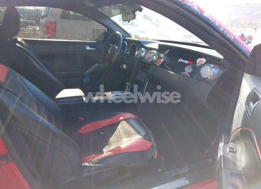 Photo 5 of 2008 Ford Mustang V6 DELUXE/V6 PREMIUM (VIN 1ZVHT80N085105069)