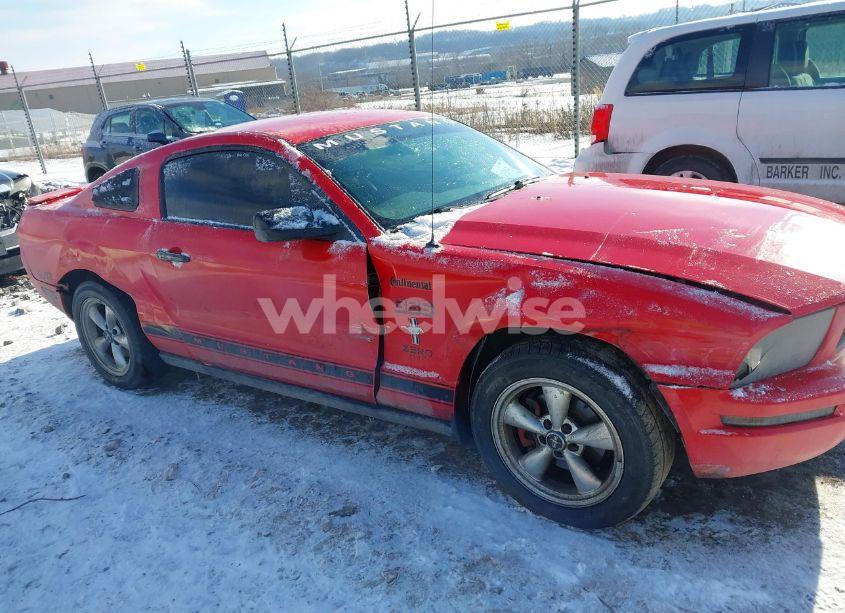 Photo 6 of 2008 Ford Mustang V6 DELUXE/V6 PREMIUM (VIN 1ZVHT80N085105069)