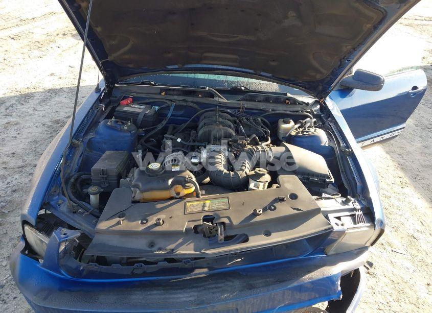 Photo 10 of 2008 Ford Mustang V6 DELUXE/V6 PREMIUM (VIN 1ZVHT80N085129002)